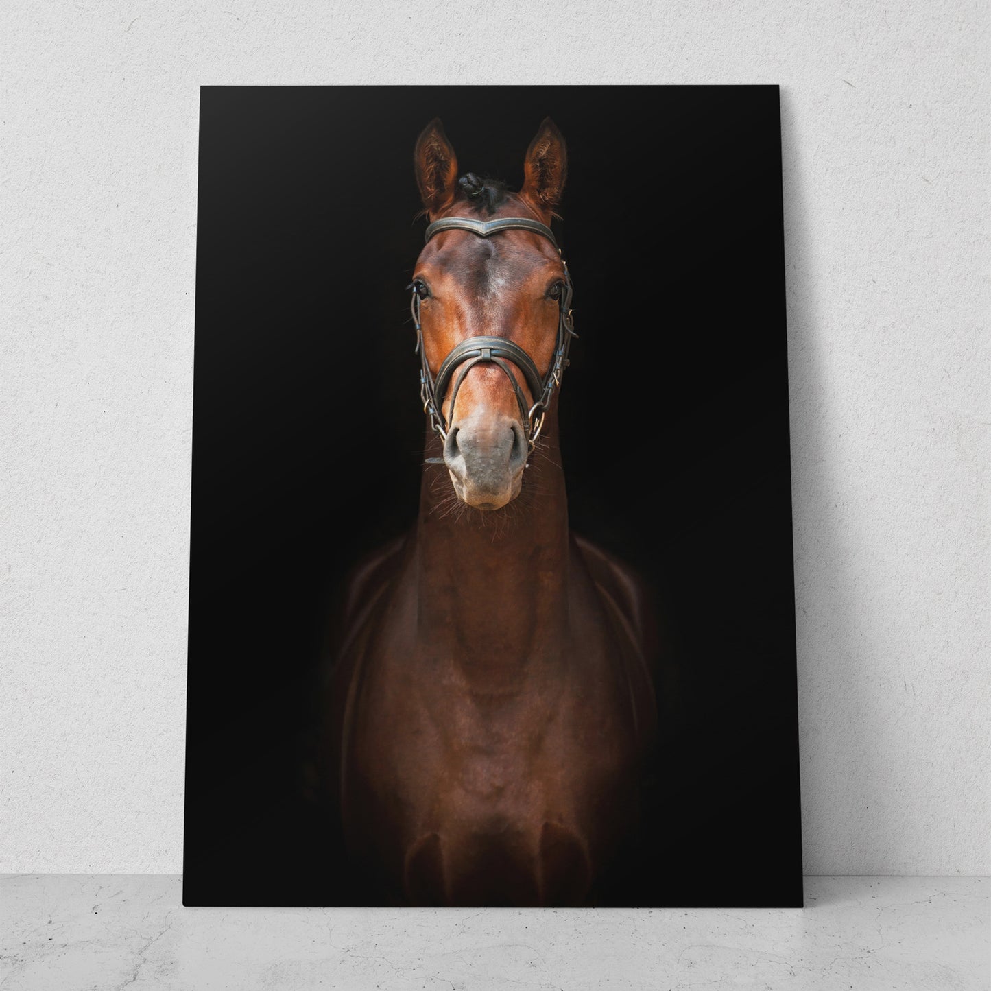 Caballo de frente (Vertical) #AN07_01