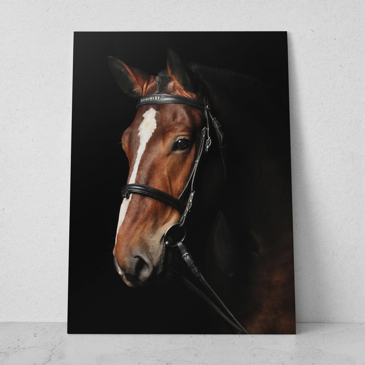 Caballo café con rienda (Vertical) #AN07_06