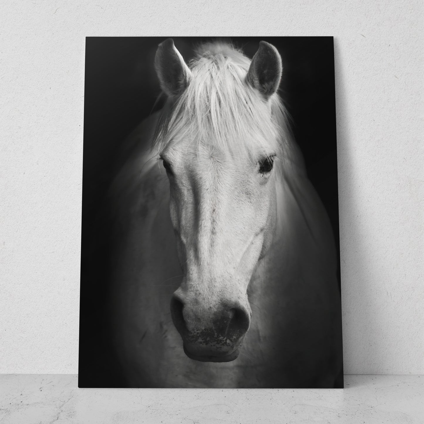 Caballo blanco de frente (Vertical) #AN07_10