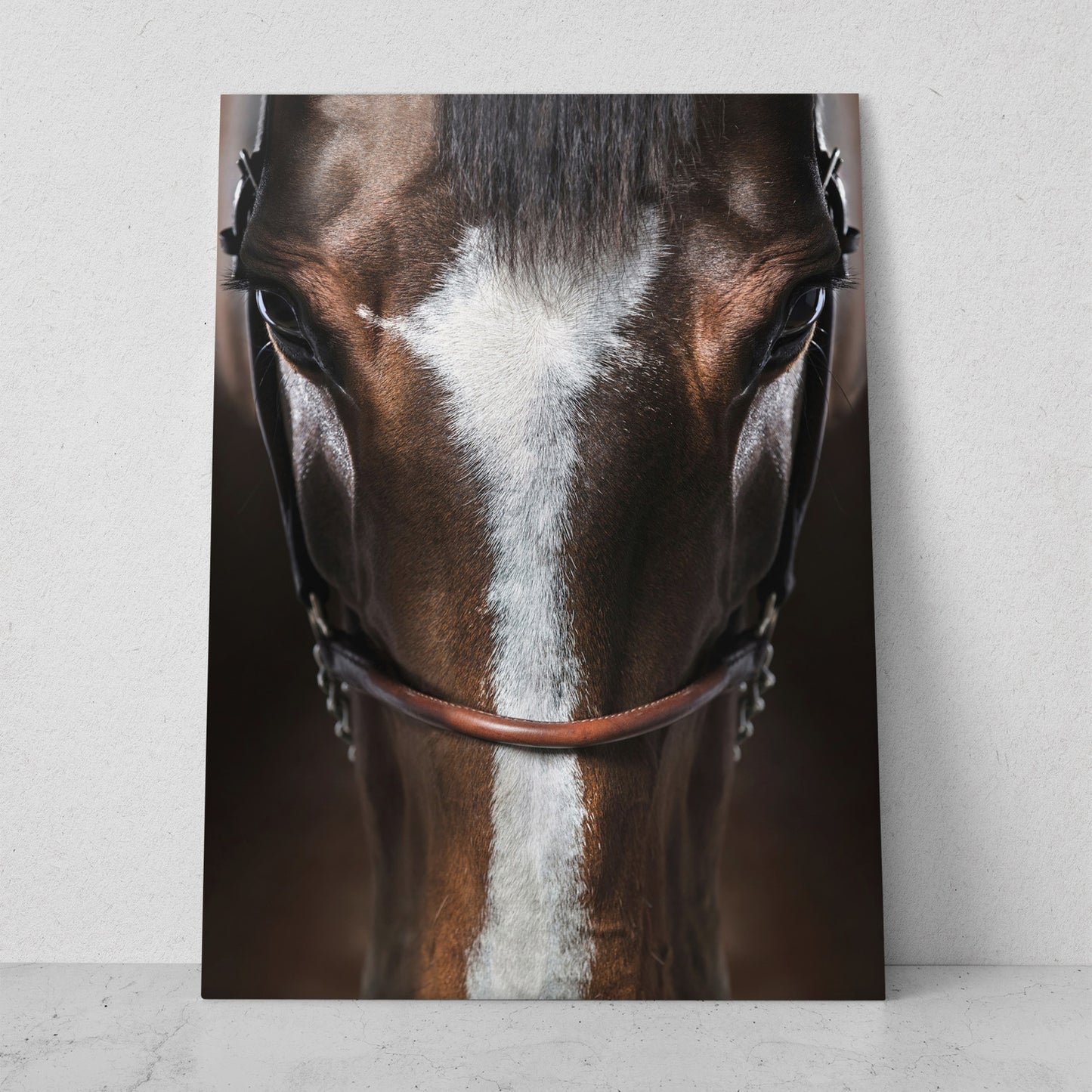 Cabeza de caballo (Vertical) #AN07_18