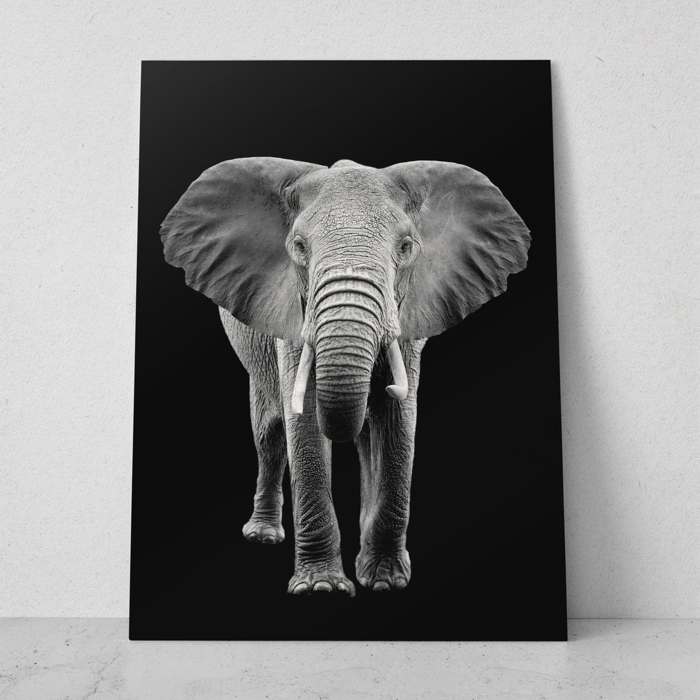 Retrato elefante (Vertical) #AN10_01