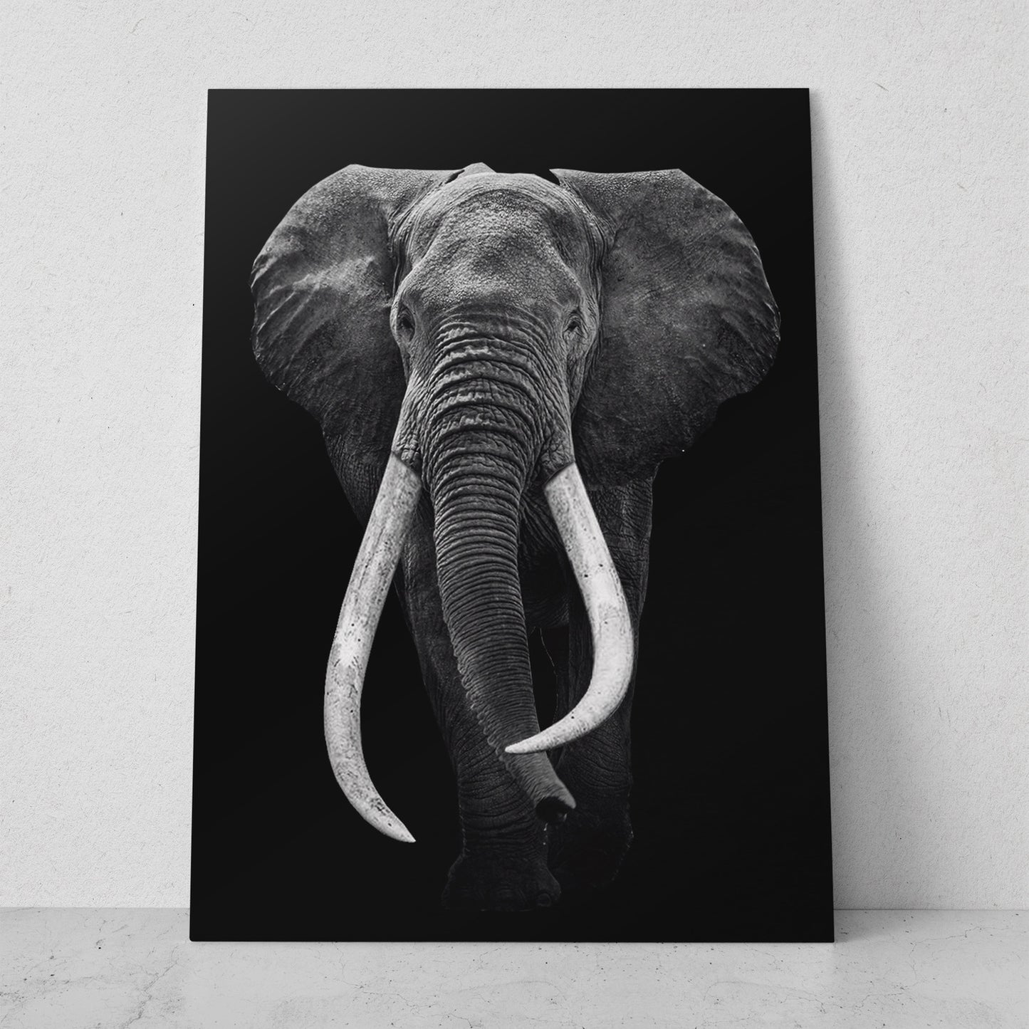 Elefante colmillos grandes (Vertical) #AN10_03