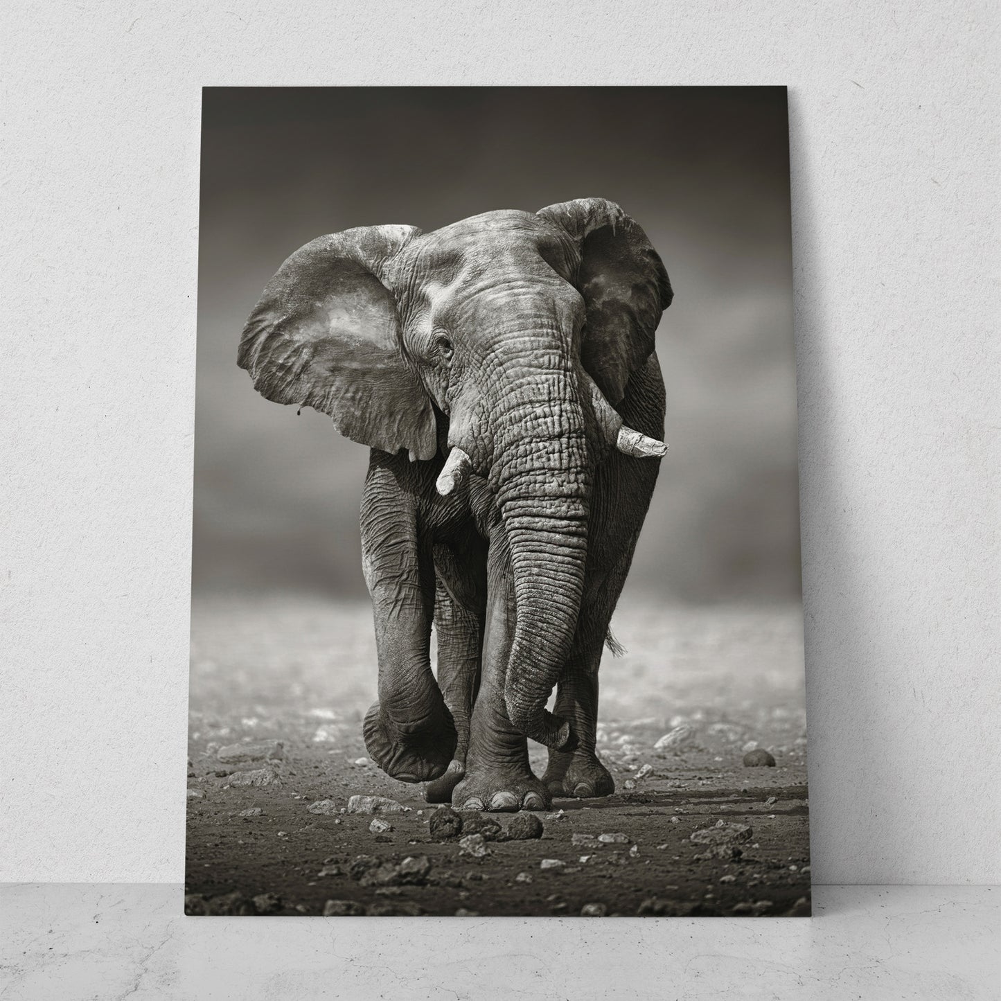 Elefante caminando (Vertical) #AN10_05