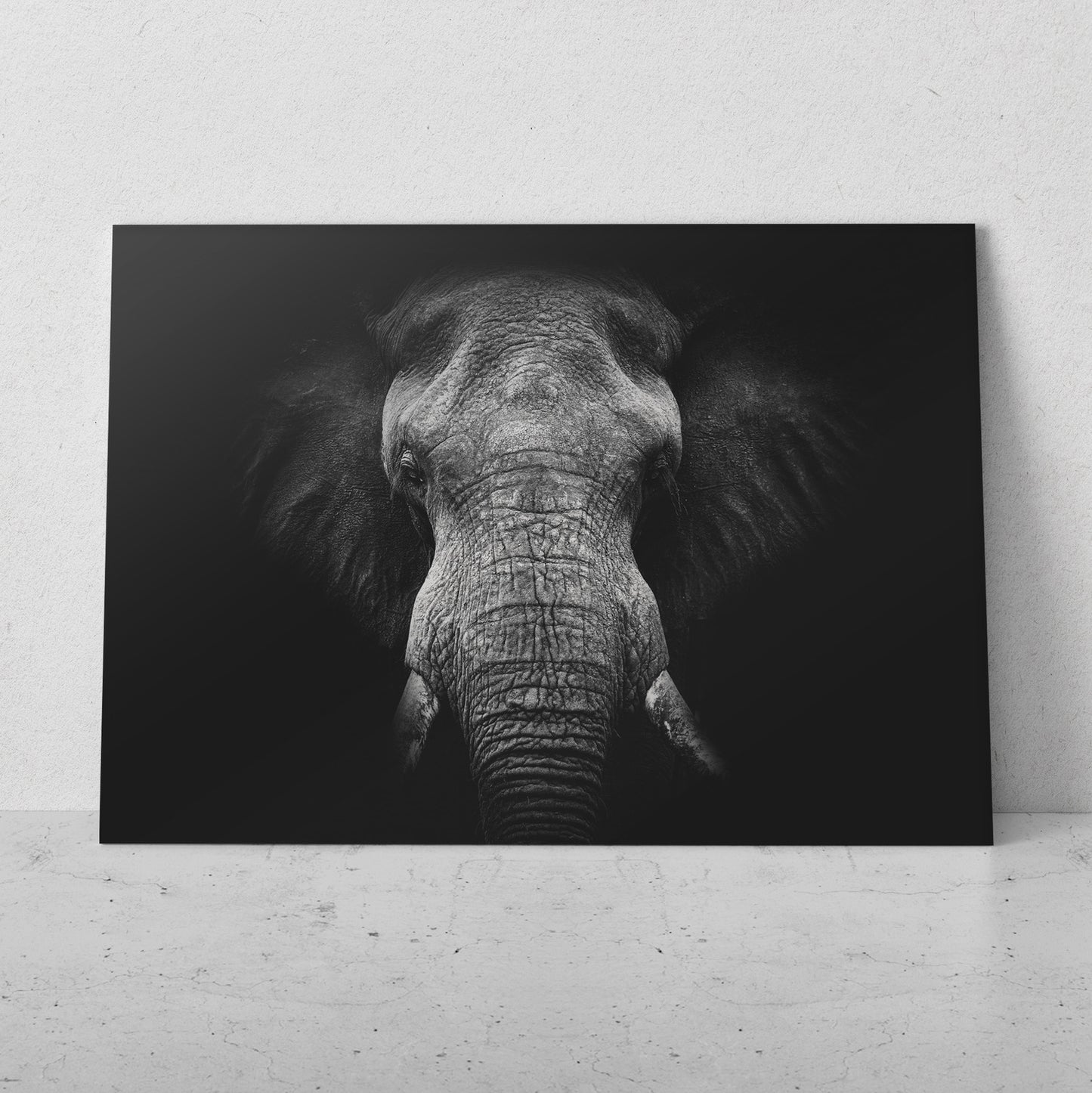 Retrato de elefante fondo negro (Horizontal) #AN10_13