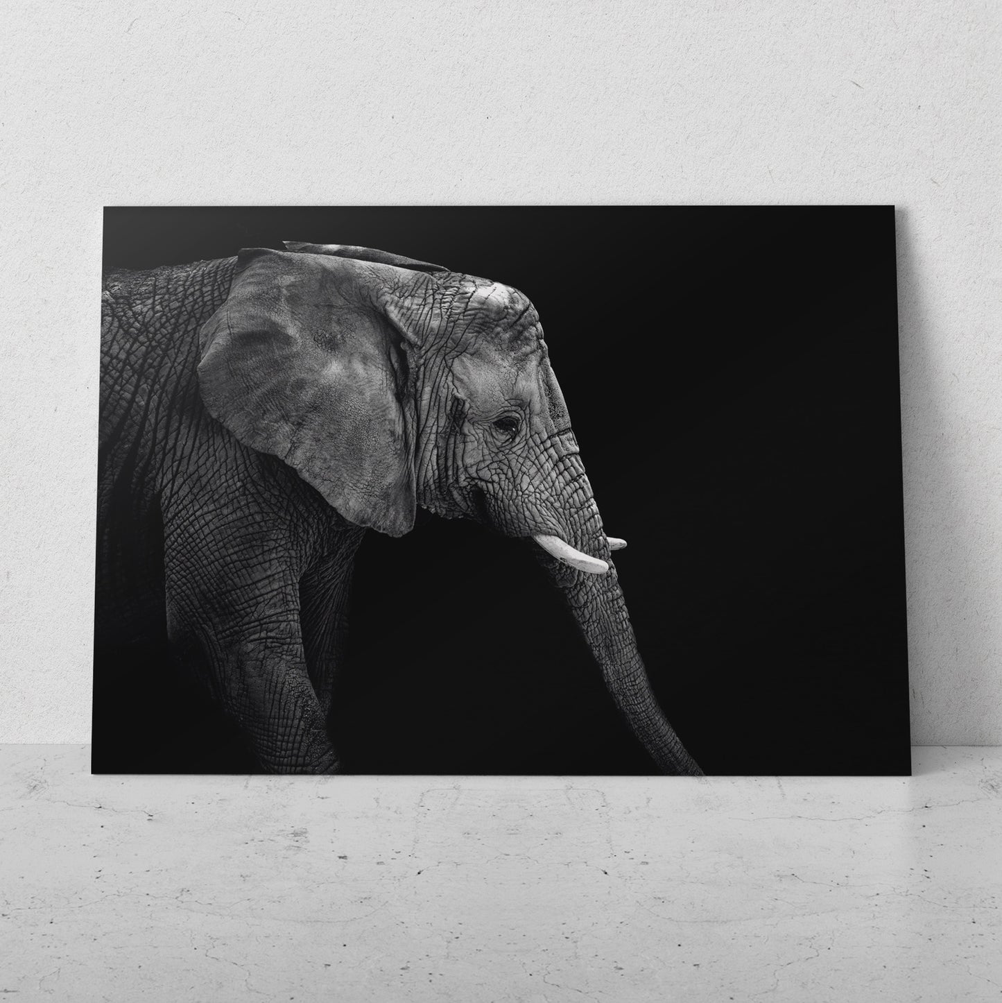 Elefante de perfil (Horizontal) #AN10_14