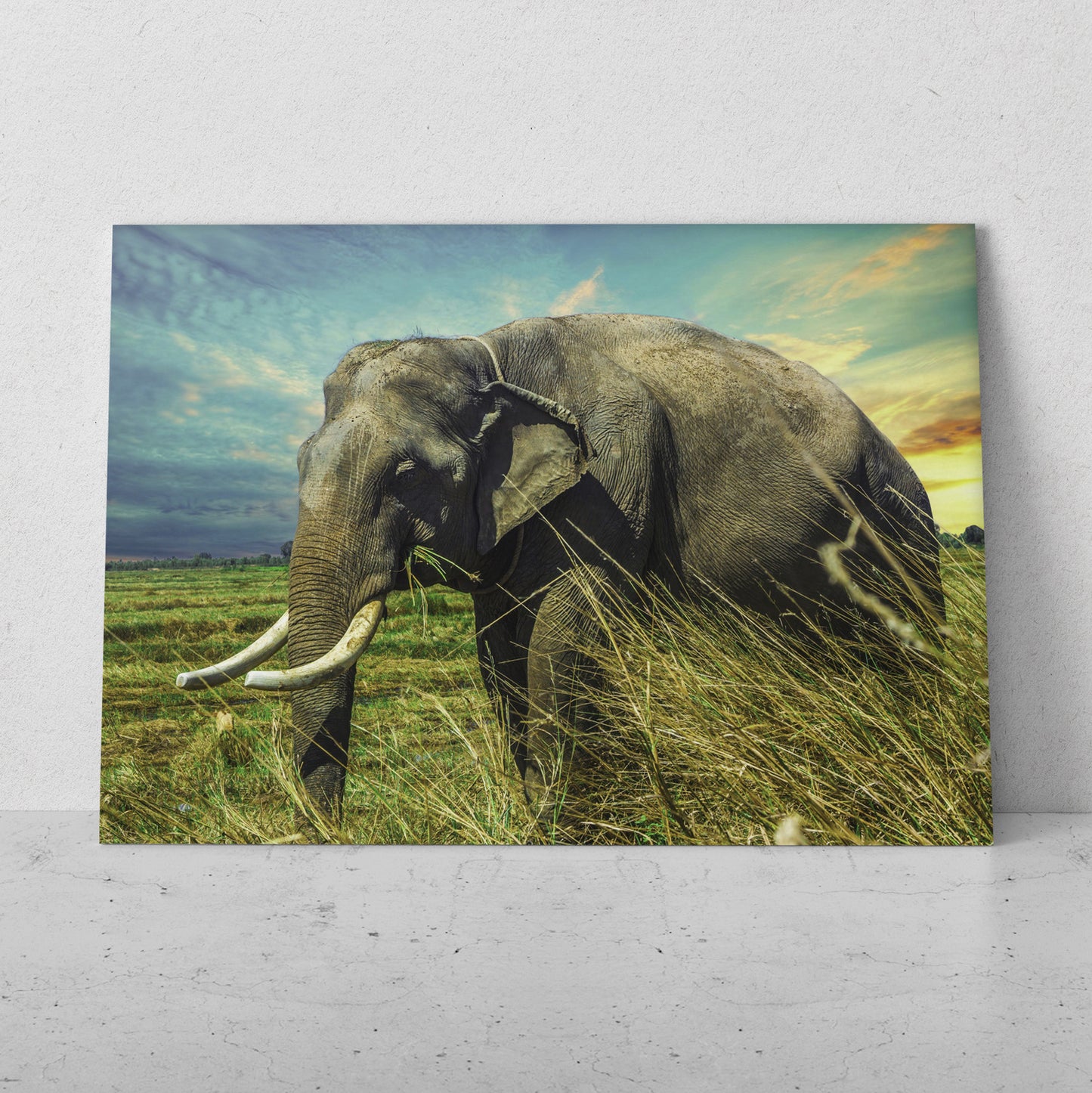 Elefante en la pradera (Horizontal) #AN10_27