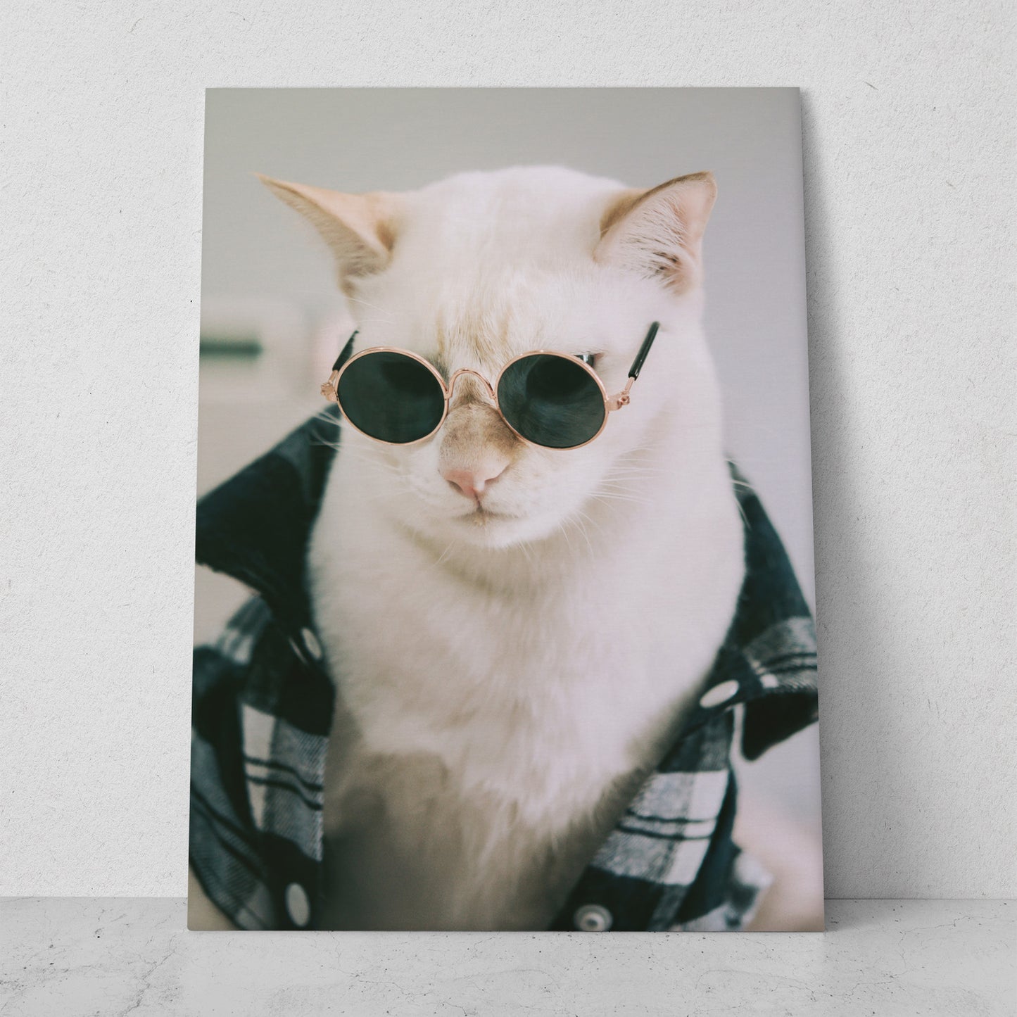 Gato rockstar (Vertical) #AN12_068