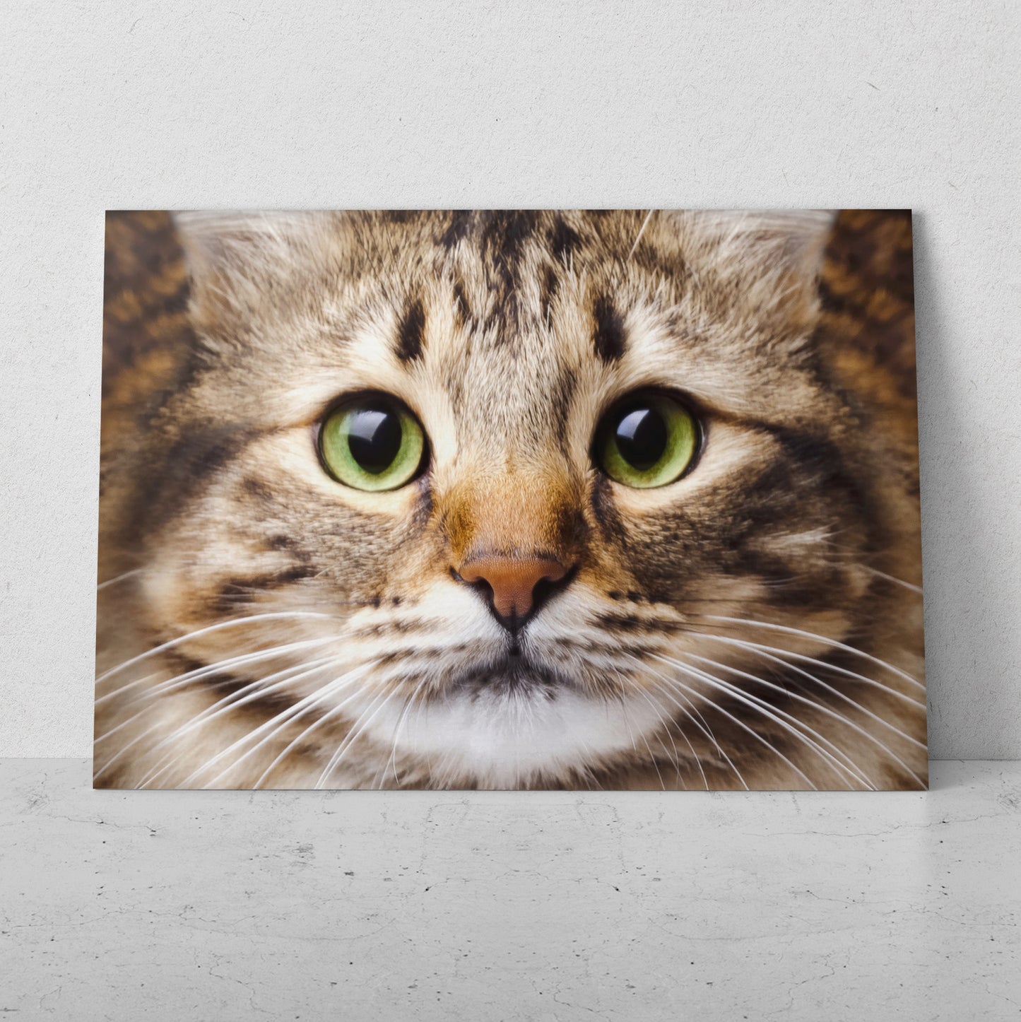Retrato de gato pinto (Horizontal) #AN12_117