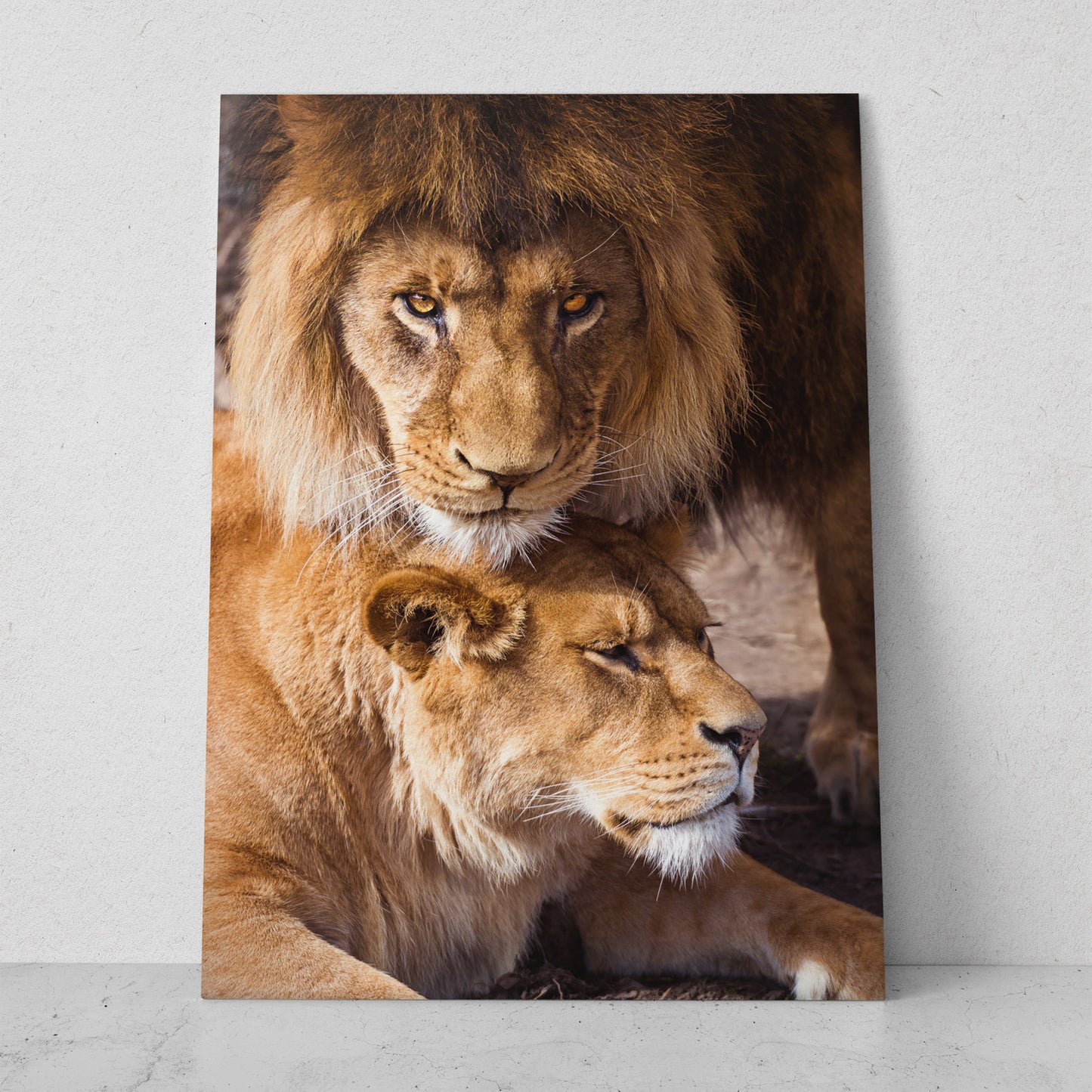 Pareja de leones (Vertical) #AN14_021