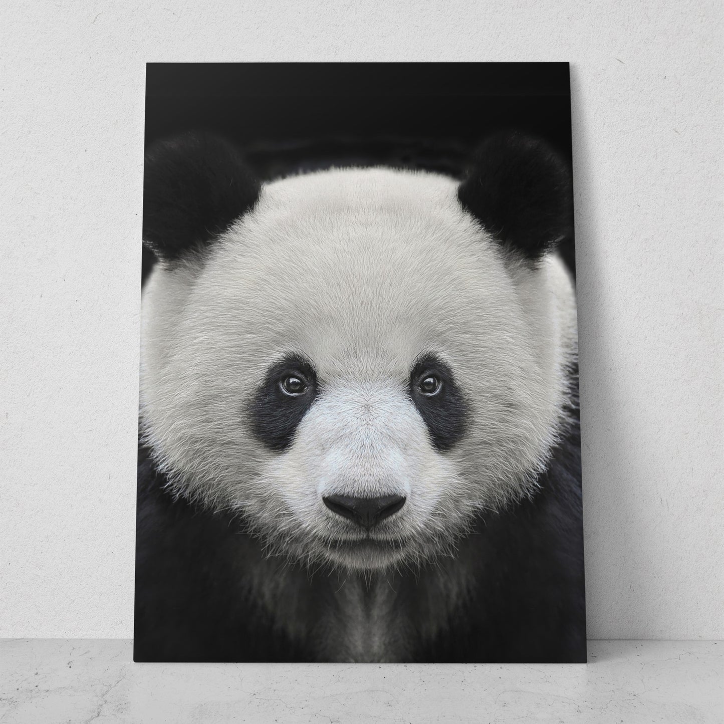 Retrato de panda (Vertical) #AN17_01