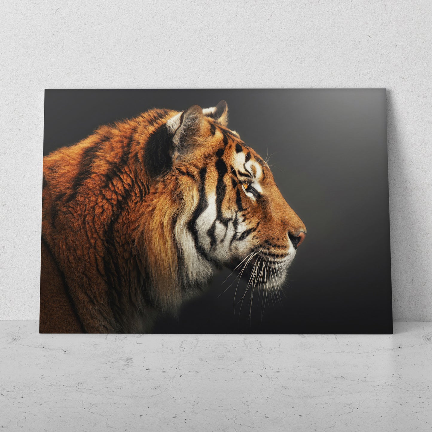 Tigre perfil derecho (Horizontal) #AN20_17