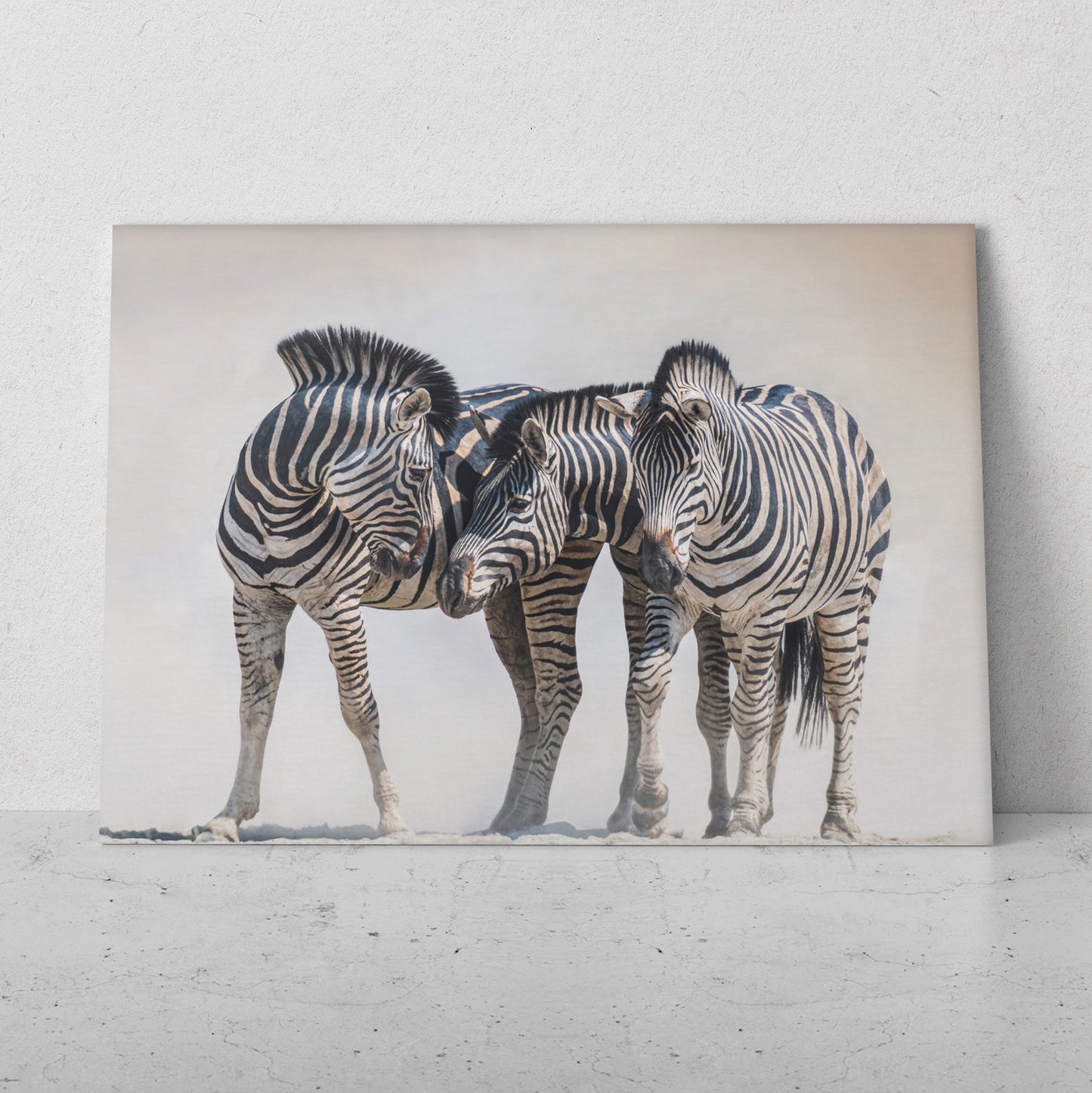 Familia de cebras (Horizontal) #AN23_06