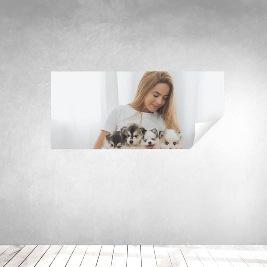 Póster Panorámico Personalizado (Horizontal)