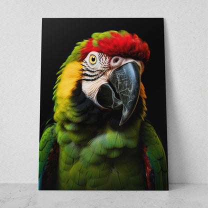 Guacamaya (Vertical) R04