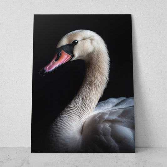 Cisne (Vertical) R01
