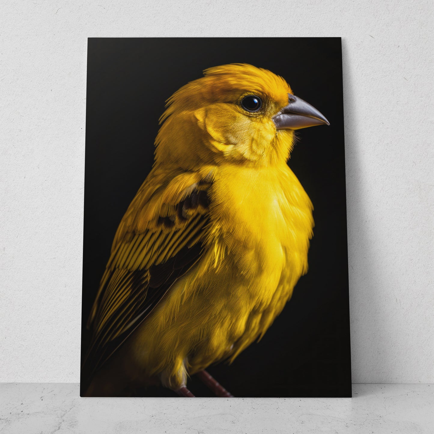 Canario (Vertical) R01