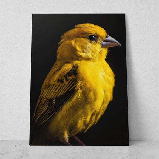 Canario (Vertical) R01