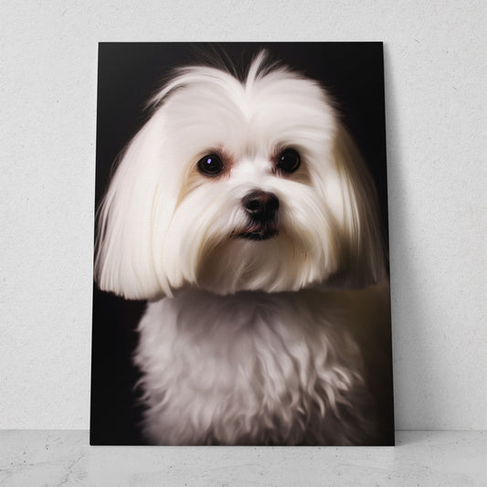 Perro Bichon Maltes (Vertical) R19