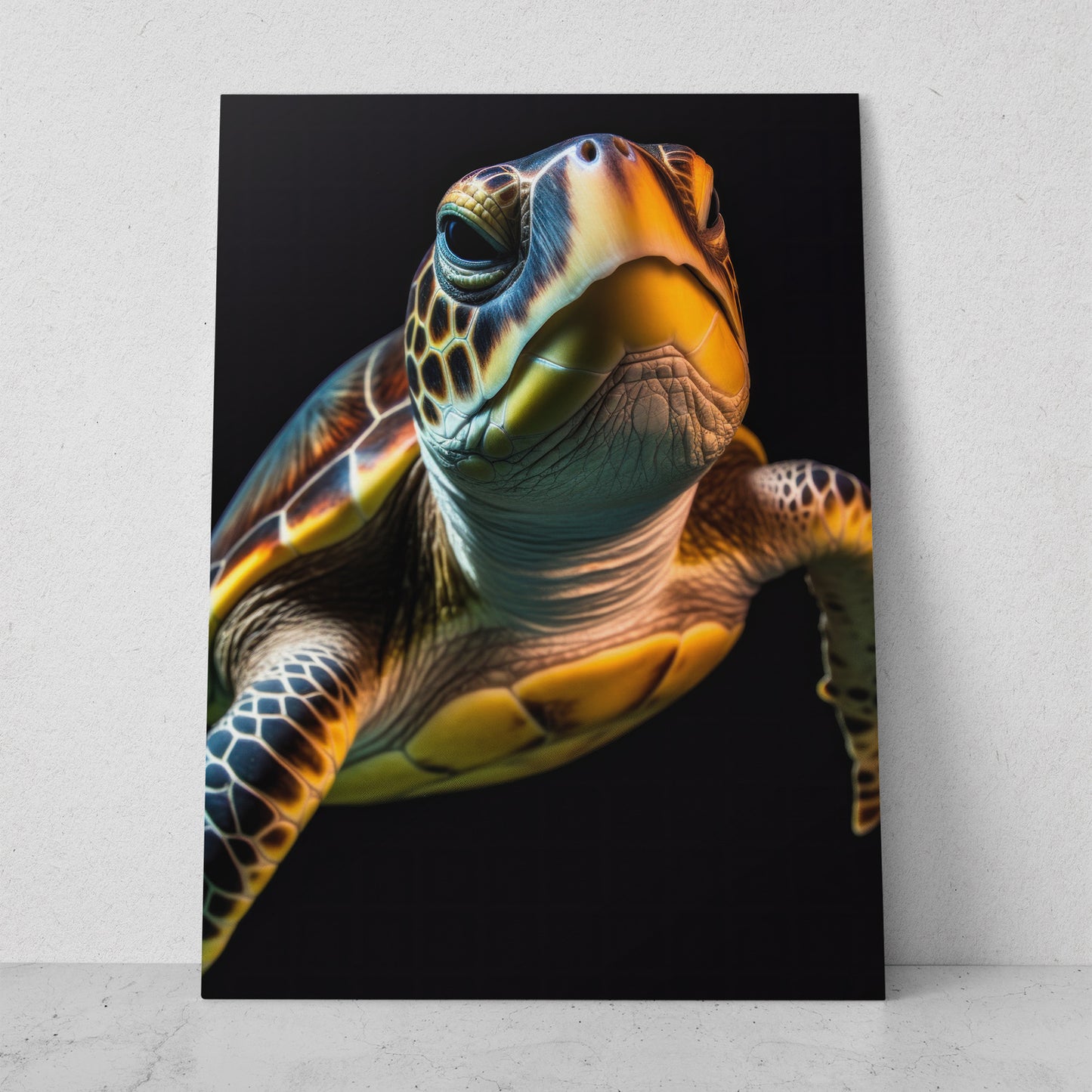 Tortuga (Vertical) R01