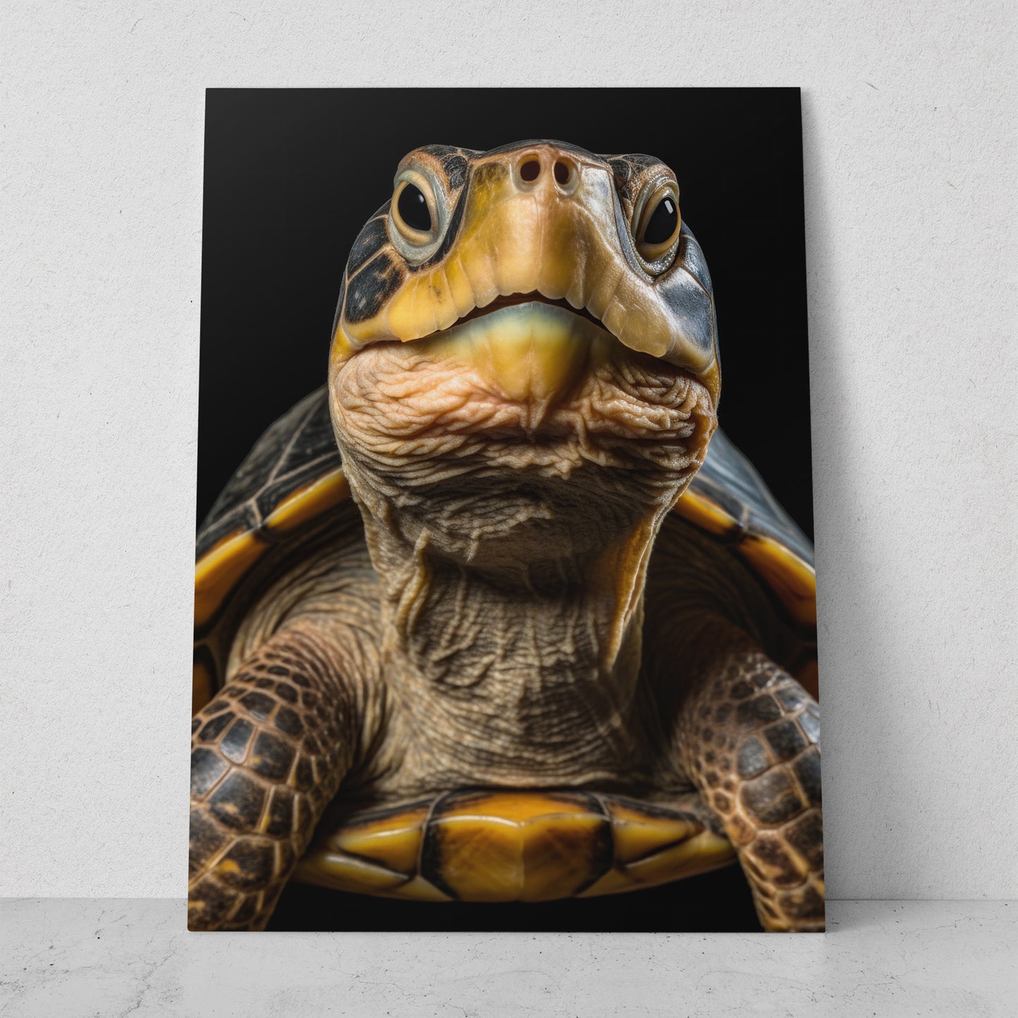 Tortuga (Vertical) R03