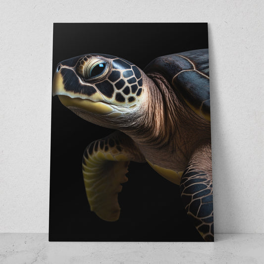 Tortuga (Vertical) R04