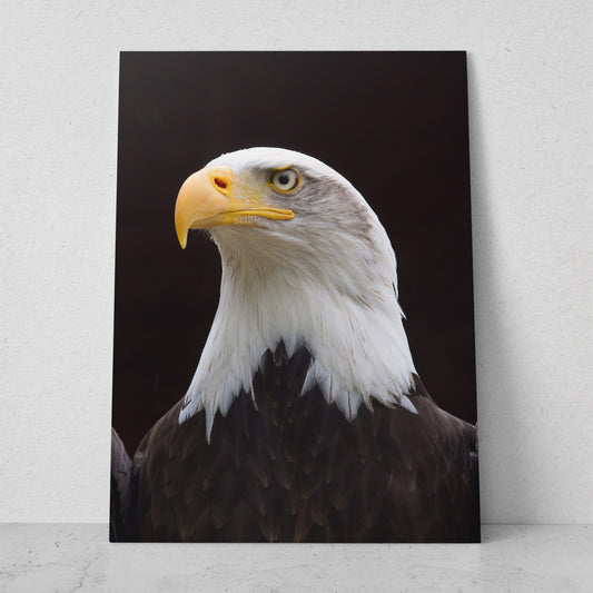 Águila americana (Vertical) #AN01_03
