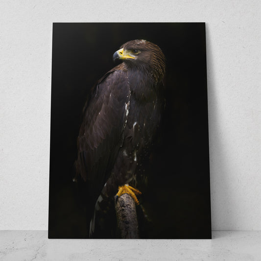 Águila (Vertical) #AN01_08