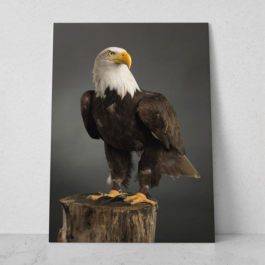 Águila americana (Vertical) #AN01_10
