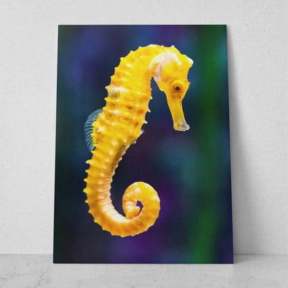 Caballito de Mar (Vertical) #AN02_12