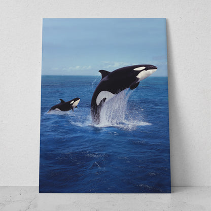 Orcas saltando (Vertical) #AN02_13