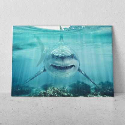 Tiburón enojado (Horizontal) #AN02_20