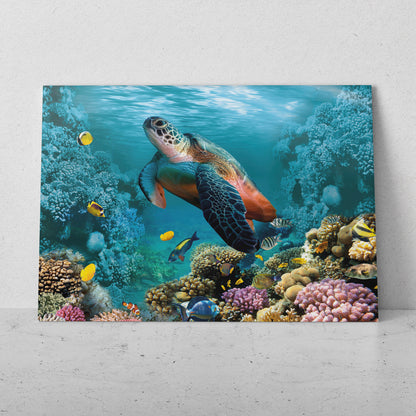 Tortuga nadando (Horizontal) #AN02_21