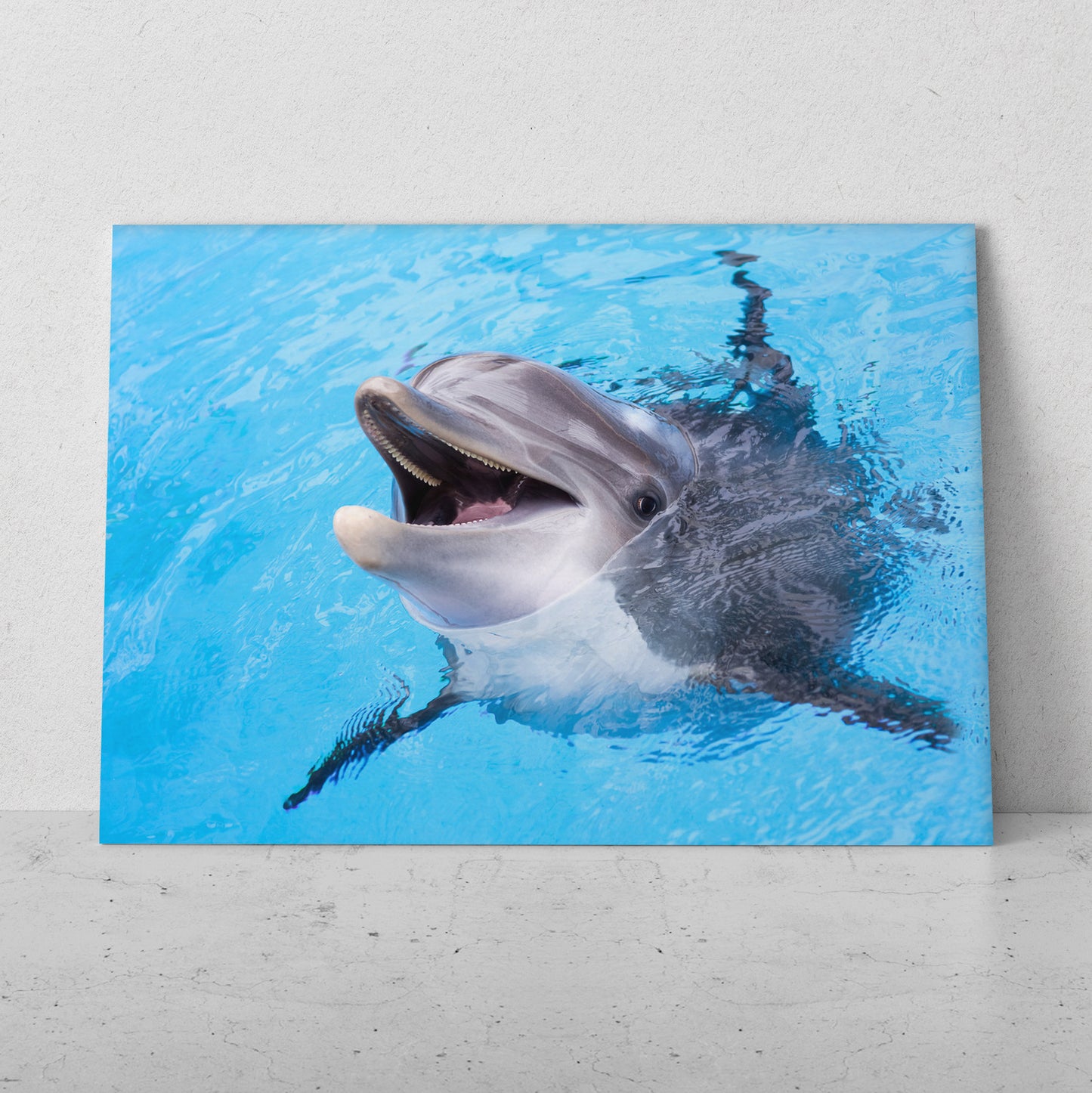 Delfín feliz (Horizontal) #AN02_22