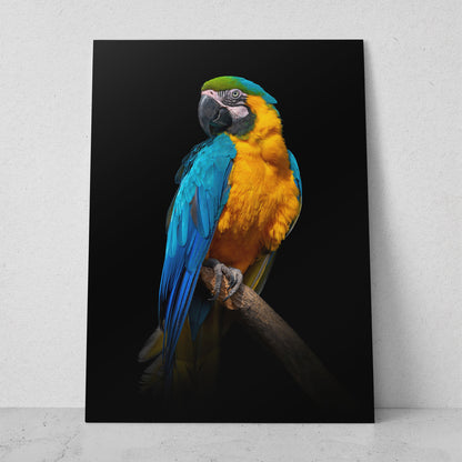 Guacamaya colorida (Vertical) #AN03_01