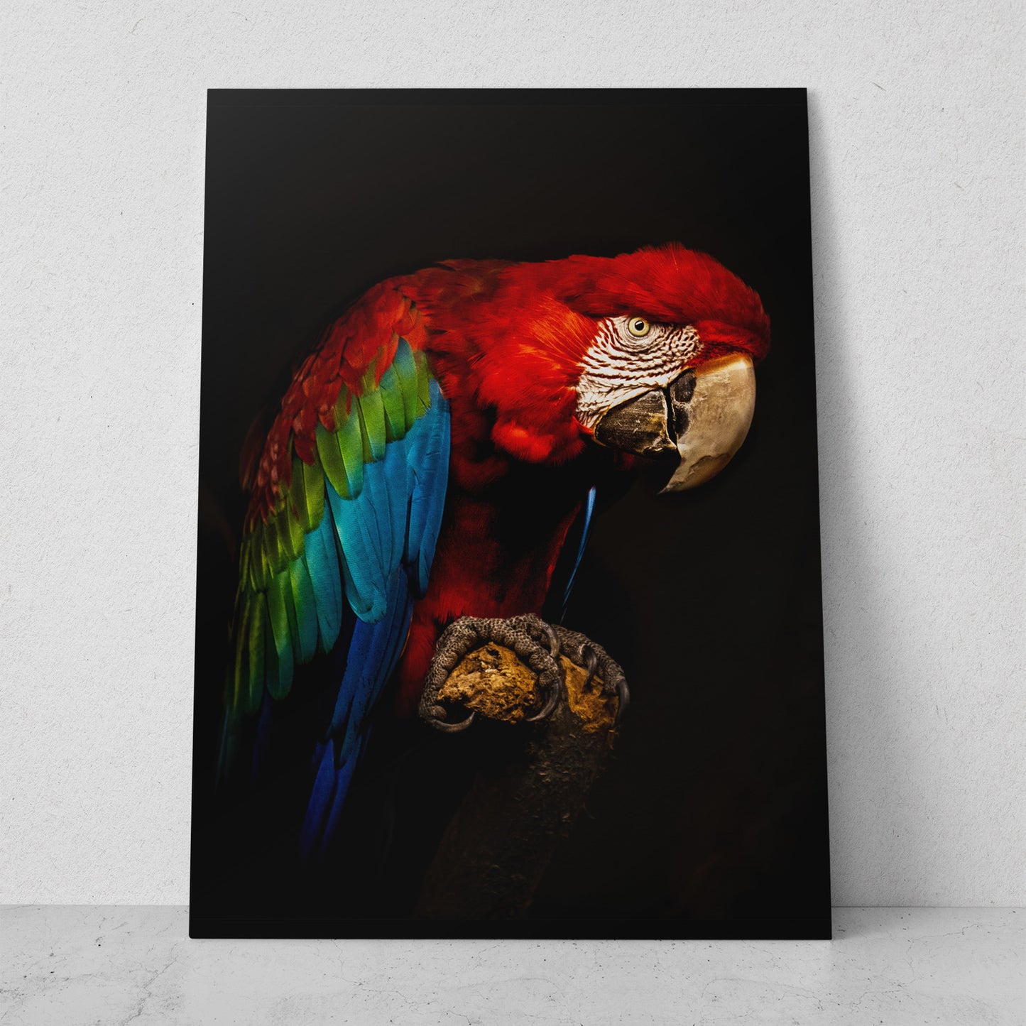 Guacamaya roja (Vertical) #AN03_02