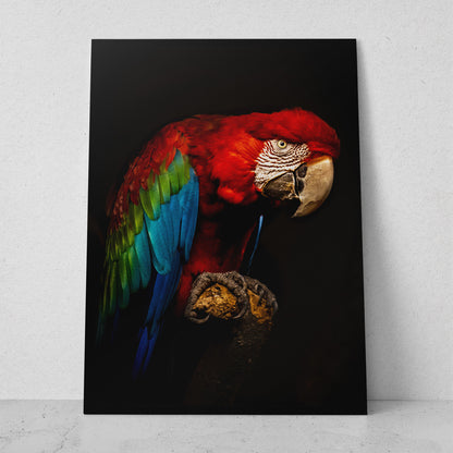 Guacamaya roja (Vertical) #AN03_02