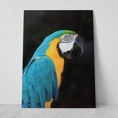 Guacamaya turquesa (Vertical) #AN03_03
