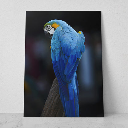 Guacamaya azul (Vertical) #AN03_04