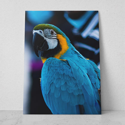 Guacamaya turquesa de cerca (Vertical) #AN03_05