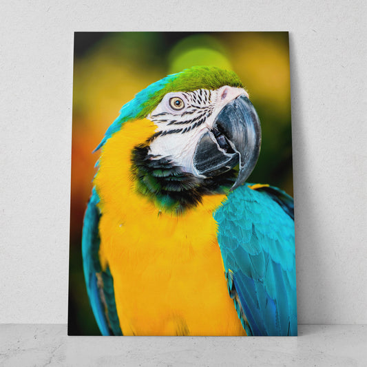 Guacamaya amarilla (Vertical) #AN03_07
