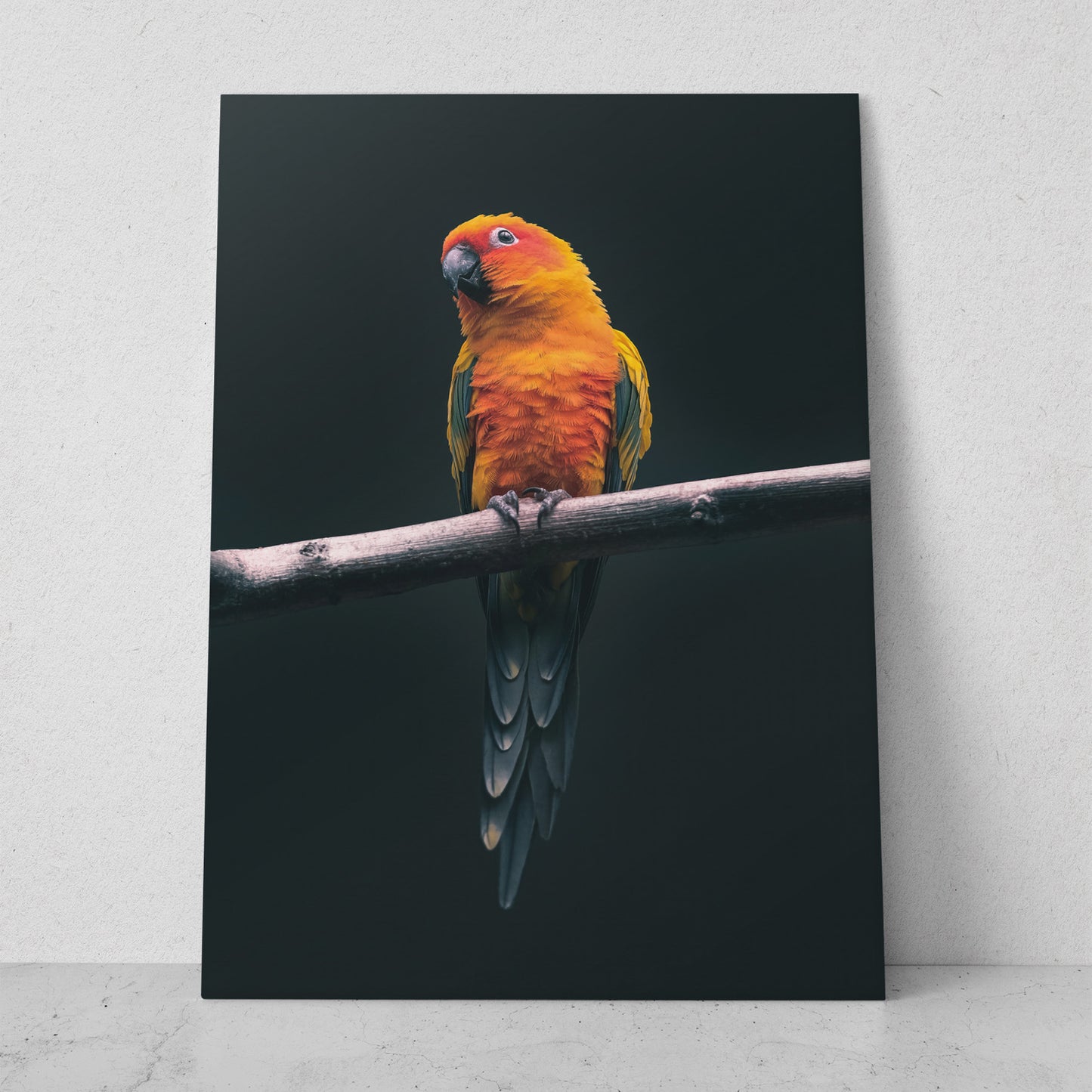 Perico pequeño (Vertical) #AN04_01