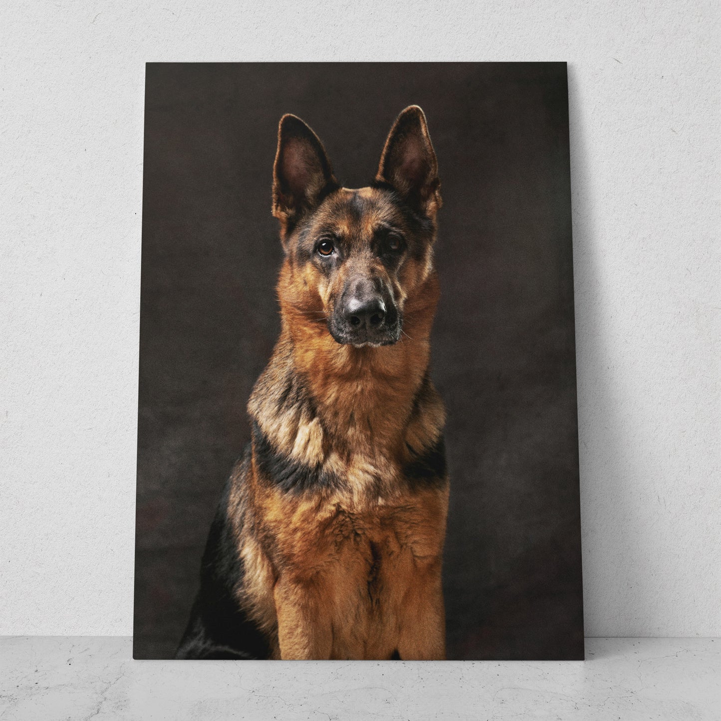 Pastor Alemán retrato 2 (Vertical) #AN06_009