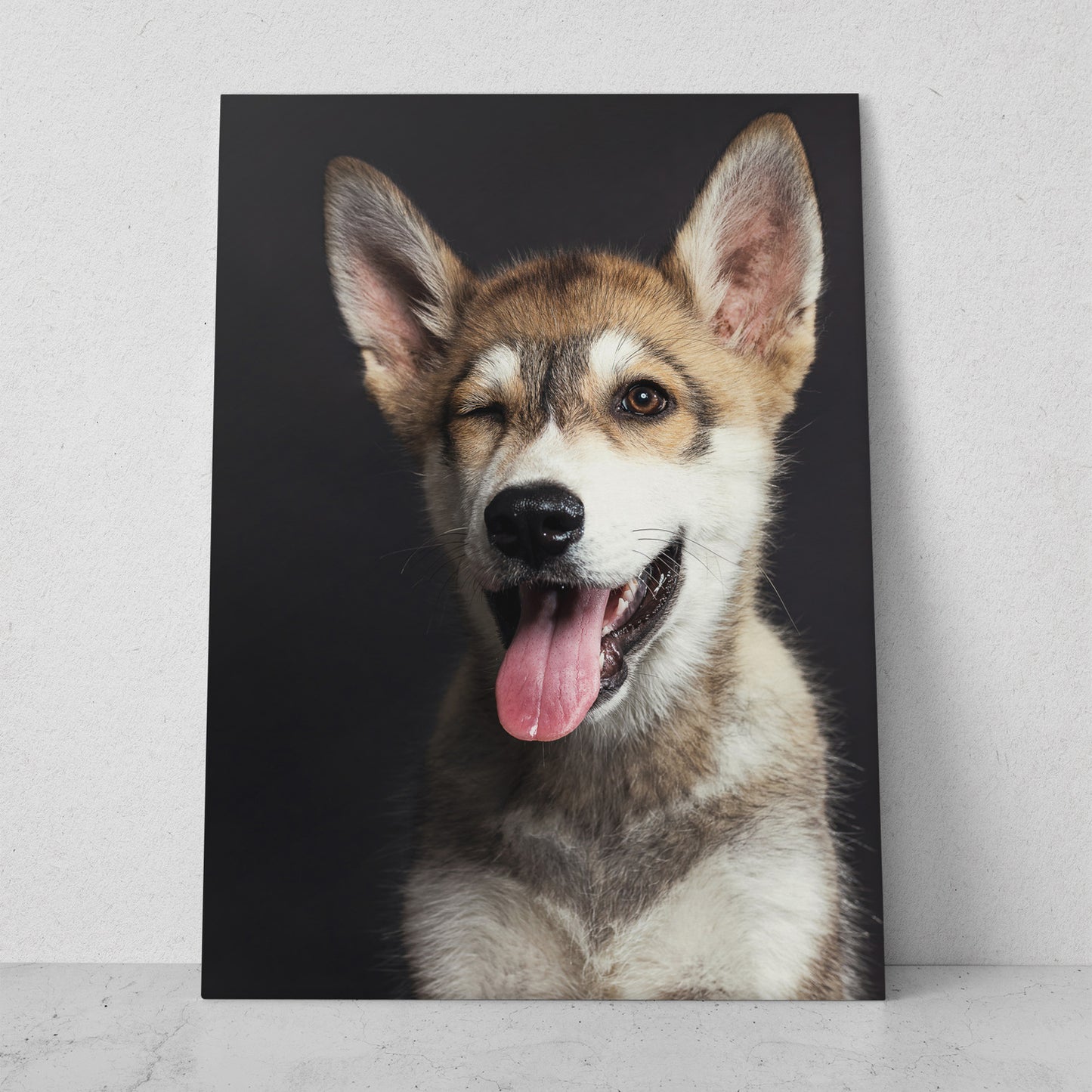 Guiño de husky bebé (Vertical) #AN06_011