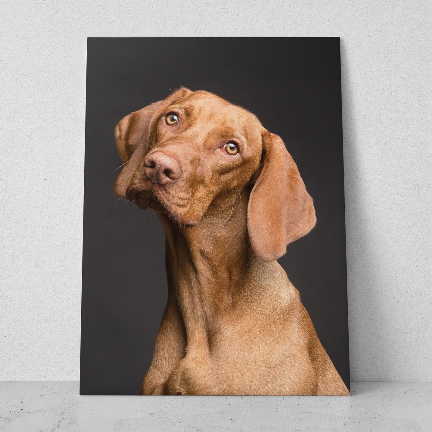 Perro ¿Hora de comer? (Vertical) #AN06_015