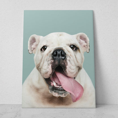 Bulldog inglés blanco (Vertical) #AN06_024