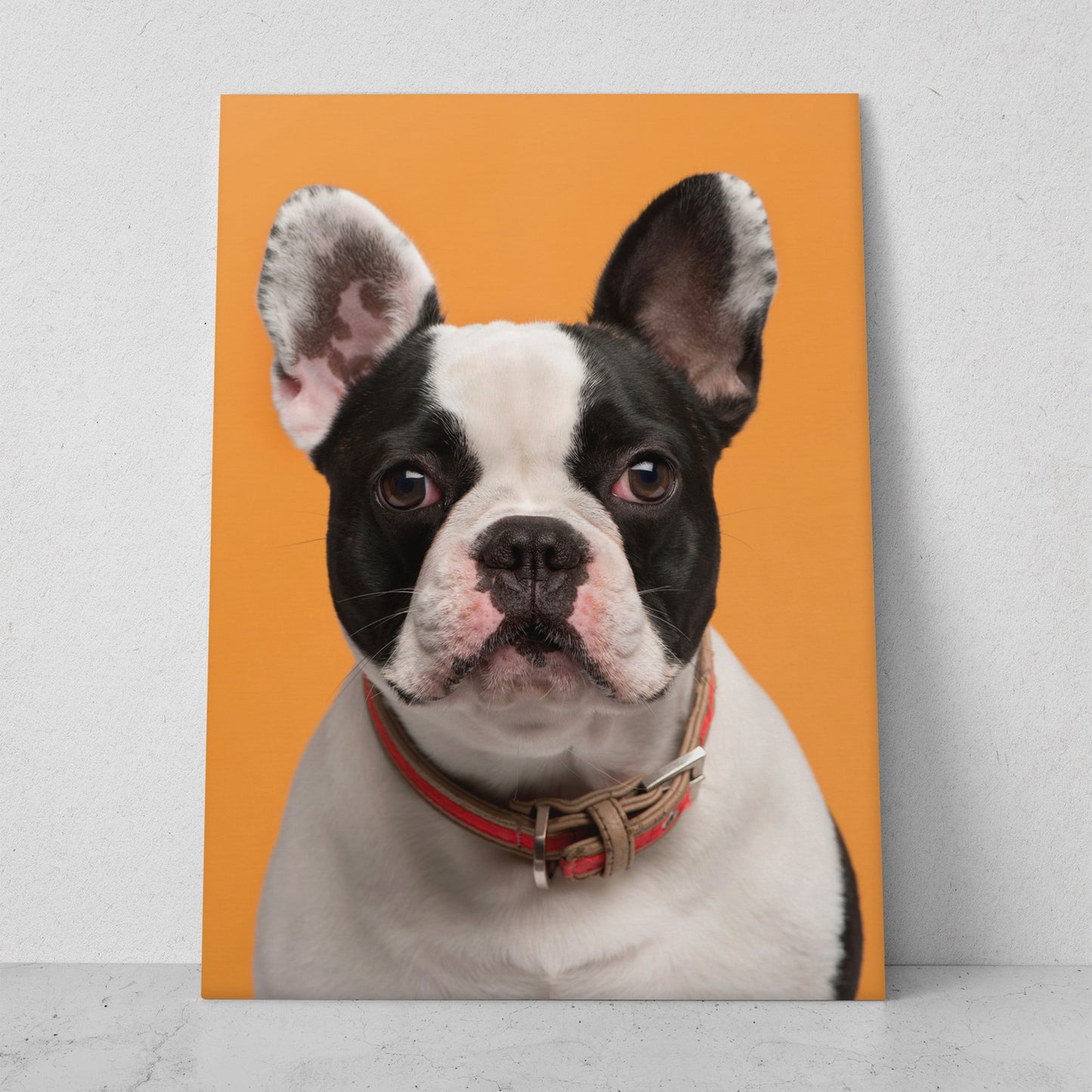 Perro collar rojo (Vertical) #AN06_026