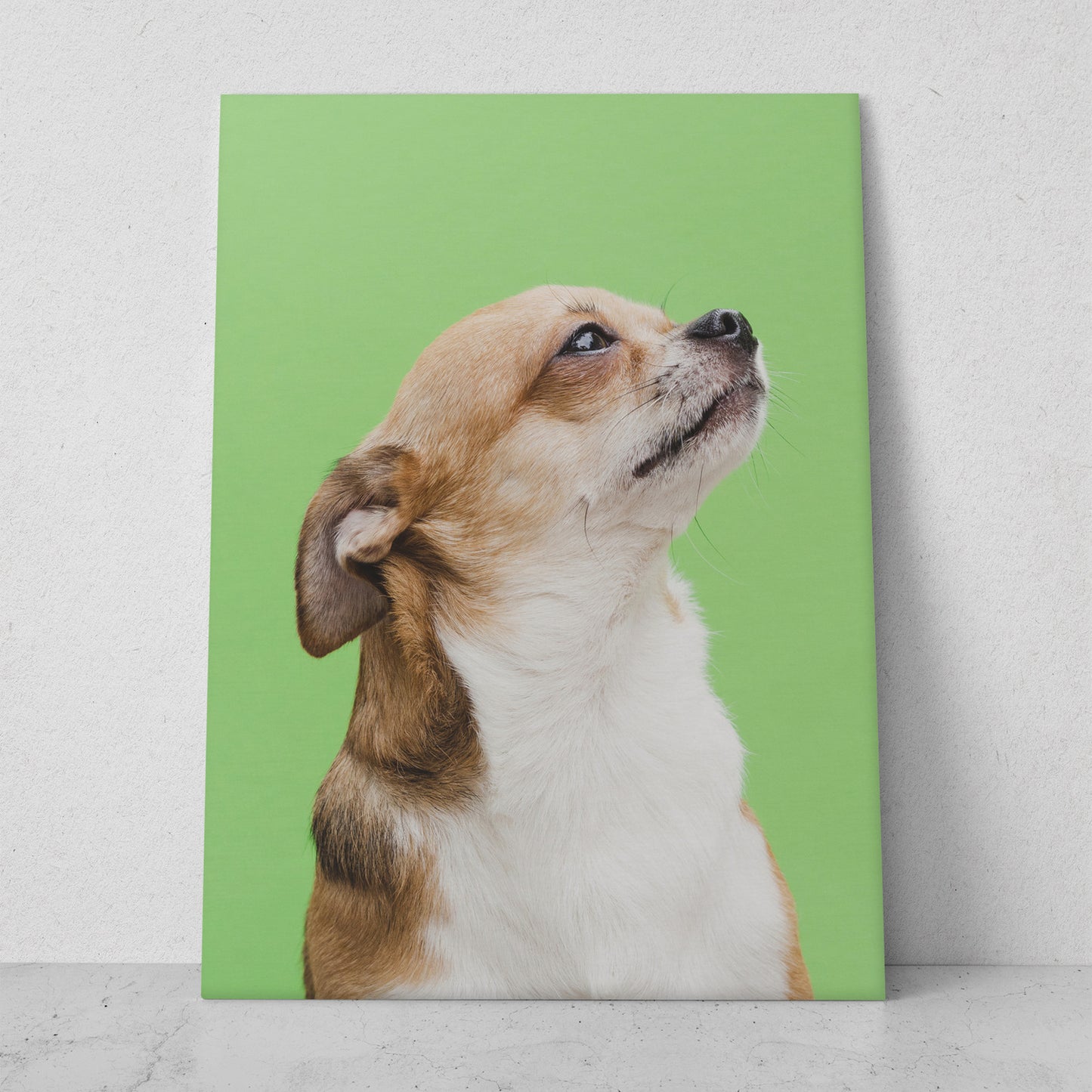 Perro recordando (Vertical) #AN06_028