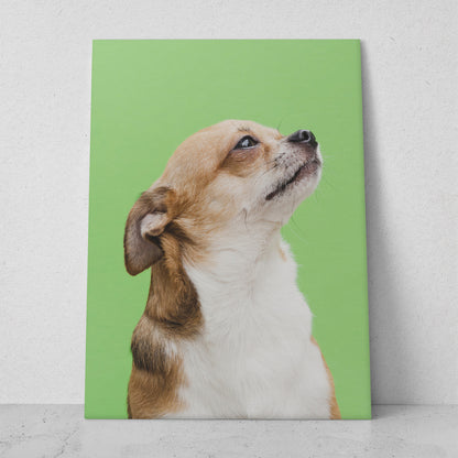 Perro recordando (Vertical) #AN06_028