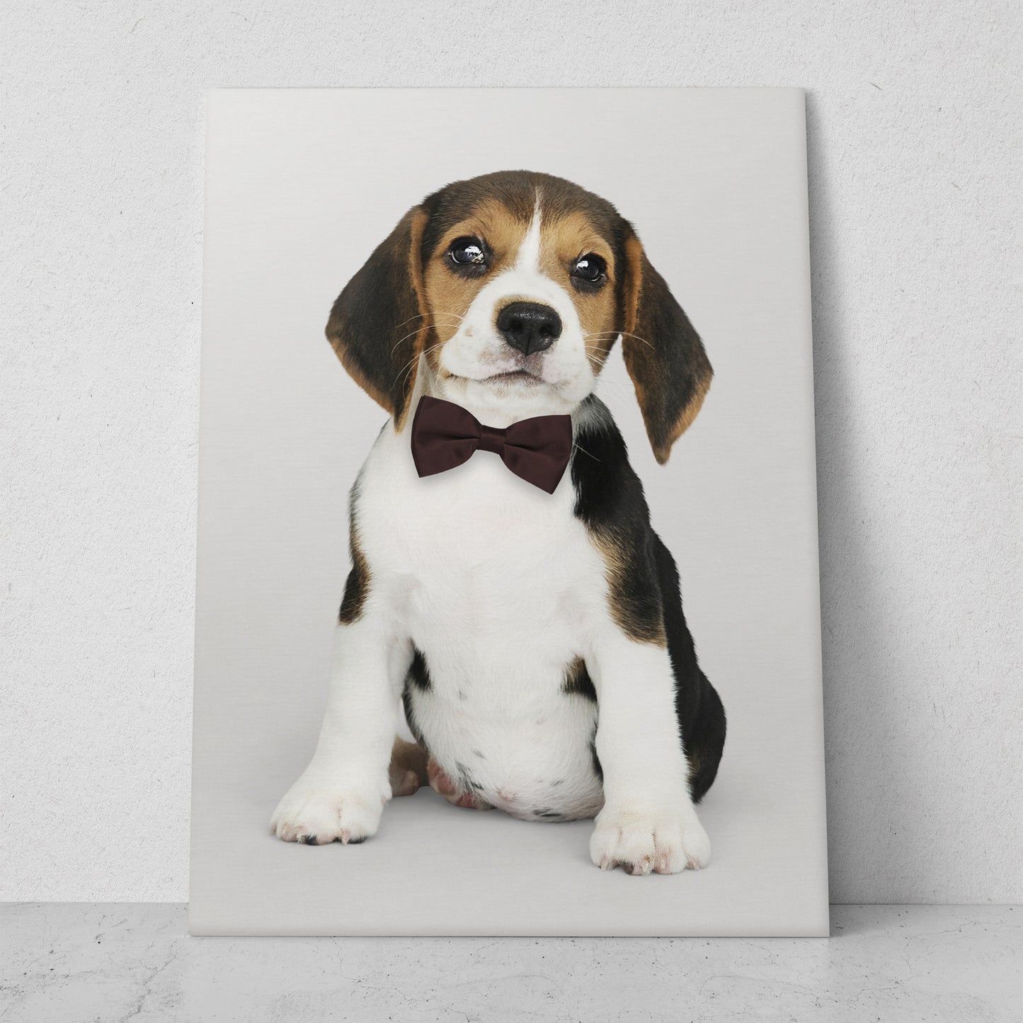 Pequeño elegante (Vertical) #AN06_030