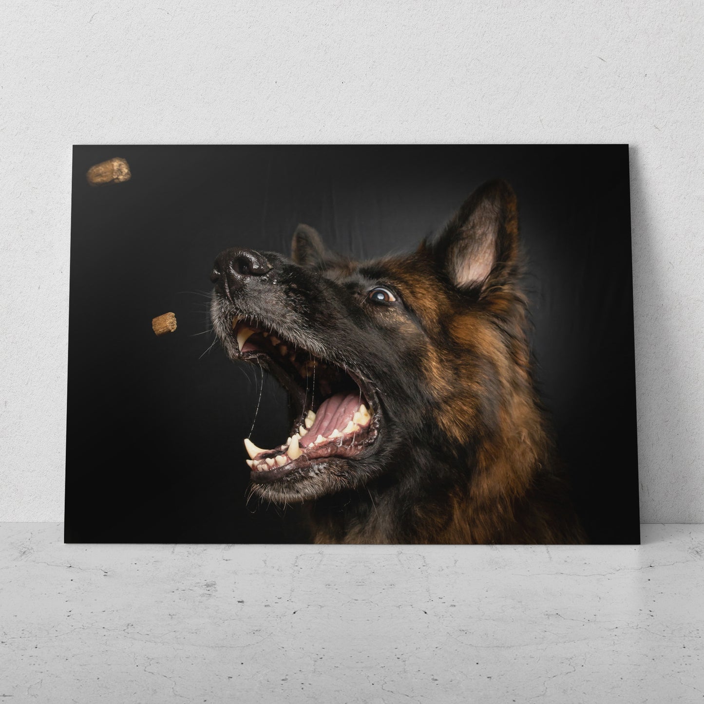 Hora de las croquetas (Horizontal) #AN06_163